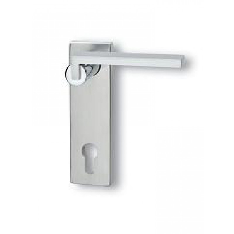 Paar Griffe mit Platten Ghidini Descartes Q OCL-M4 / F1