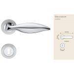 Linea Calì Delfino Griff für klassische Türen aus Messing mit Rosette