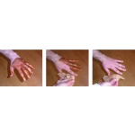 Modellierung von Spateln zur Verbesserung der PosaClima-Dichtungskanten