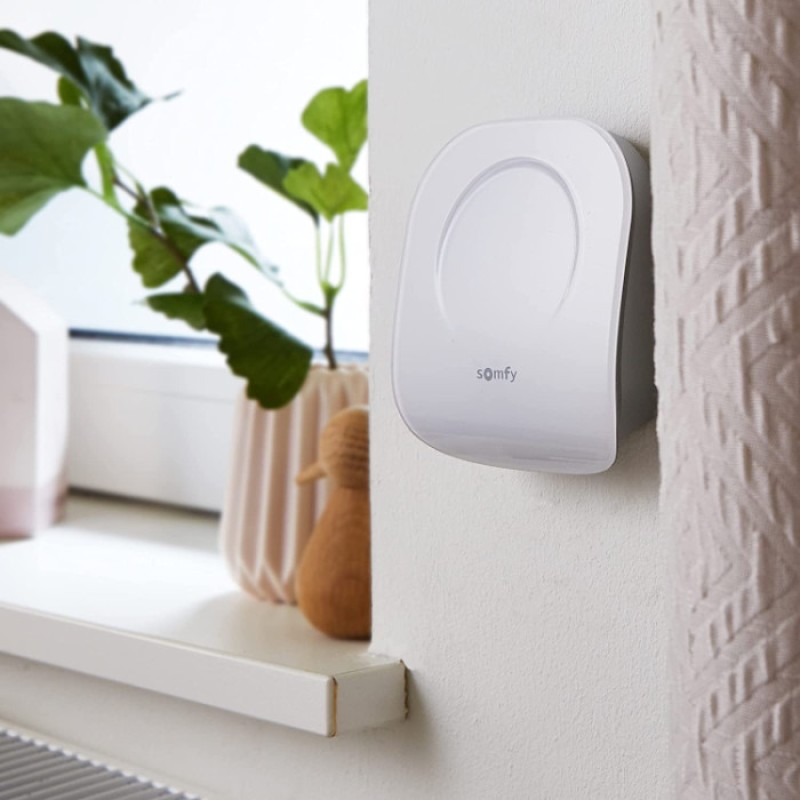 Somfy Kabelgebundener Thermostat für Temperaturregelung